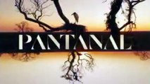 Apucarana e Arapongas são citadas na novela Pantanal