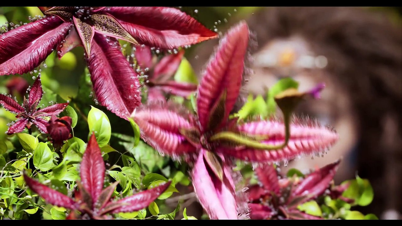 ARK 2: Seht hier den 4-minütigen Ankündigungs-Trailer zur Survival-Fortsetzung