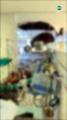 Teto desaba sobre pacientes de hospital em Recife