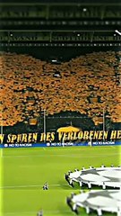 Happened in a stadium