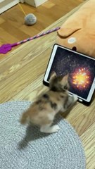 Une tablette pour utilisation familiale +1!