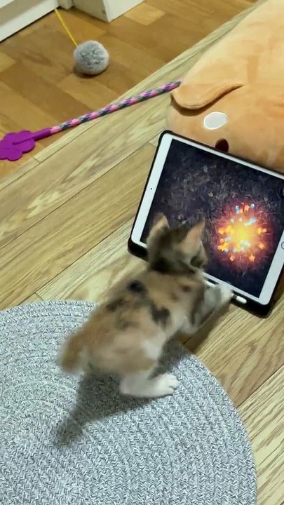 Une tablette pour utilisation familiale +1!