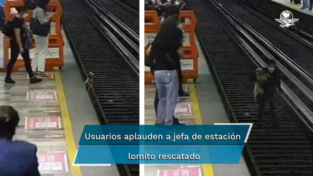 Jefe de estación rescata a perrito que cayó a vías del Metro Cuitláhuac