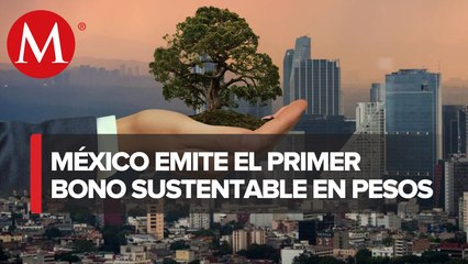 Hacienda emite primer bono sustentable en México por 20 mil mdp