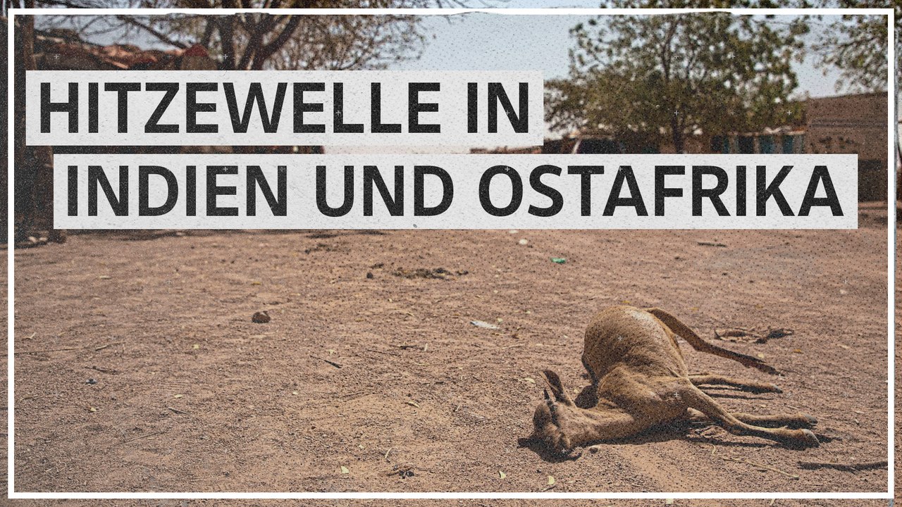 Hitzewellen: In Indien und Ostafrika drohen Hungersnöte