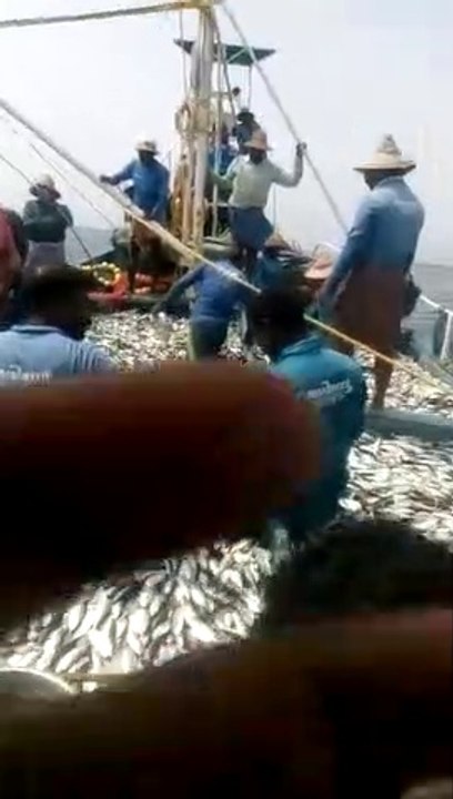 Fishing