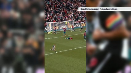 Callum Wilson teases Newcastle United return