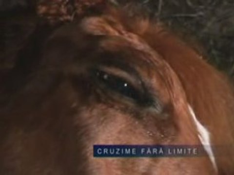 SAPTE ZILE IN ZECE MINUTE 0803 1(1)