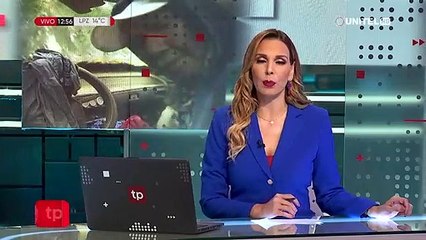 Junto a sus tres canes, un anciano resiste el frío en un auto abandonado tras perder su hogar en un incendio