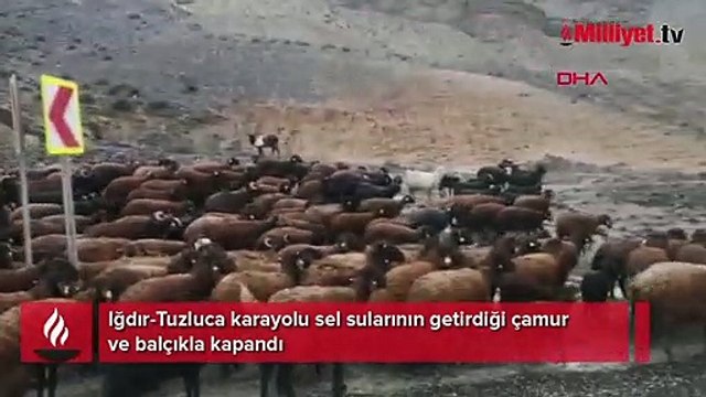 Iğdır-Tuzluca karayolu sel sularının getirdiği çamur ve balçıkla kapandı