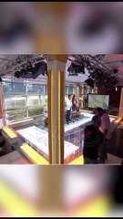 أغرب مواقف المذيعين على الهواء