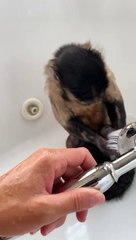 Bath Bath shenanigans Gaitlyn Rae