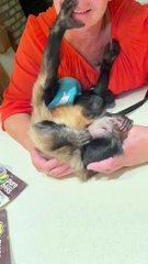 Gaga & Paw Paw stopped by last night!