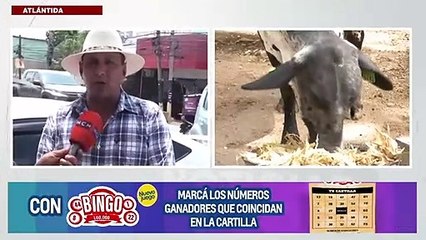 Ganaderos exigen un aumento al precio de la leche