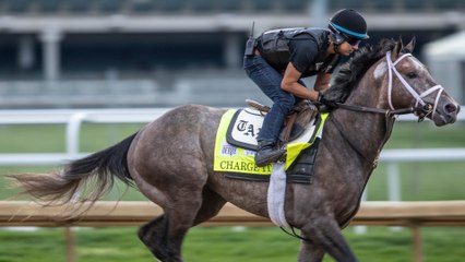 The Kentucky Derby Preview: Best Bets