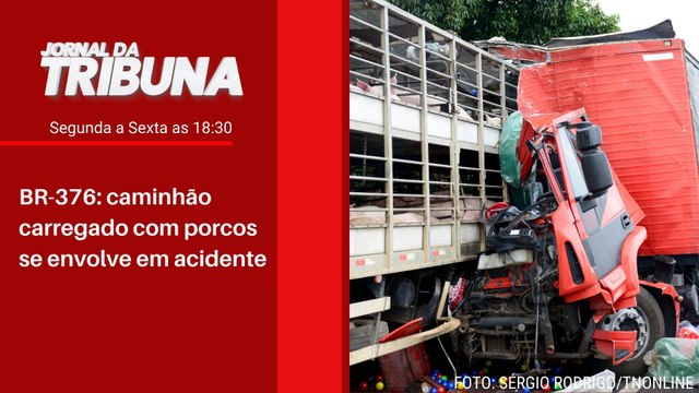 BR-376: caminhão carregado com porcos se envolve em acidente