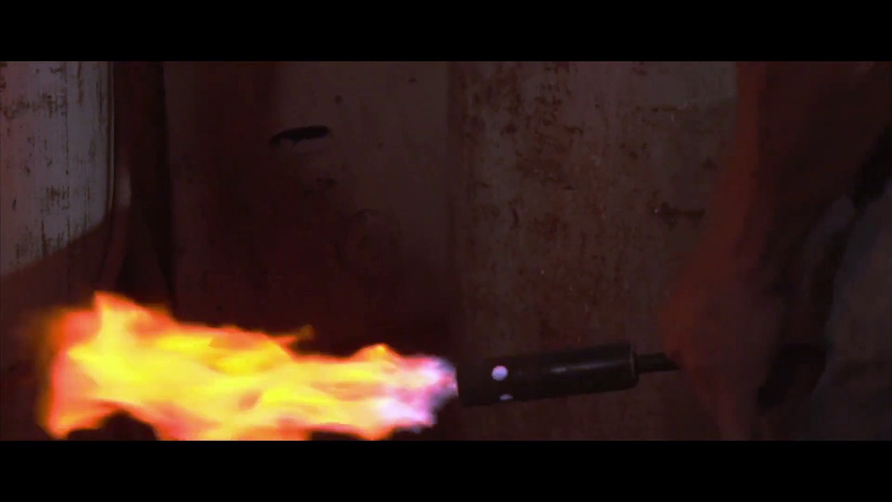 Tierra, Manos y Fuego - Carabobo, Caminos de Libertad