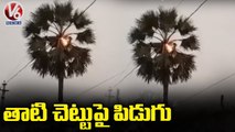 Palm Tree Catches Fire With Thunderstorm In Nalgonda _ V6 News