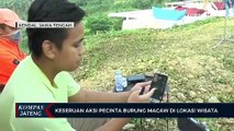 Keseruan Aksi Pecinta Burung Macaw di Lokasi Wisata