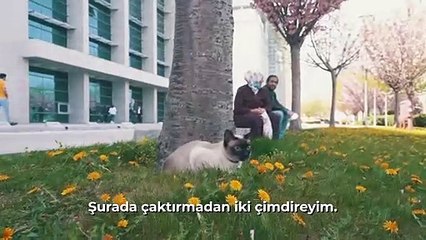 Mansur Yavaş'tan dikkat çeken video: Yine fışkiye civarında hareket var gibi, dinocanlar kontrol altında