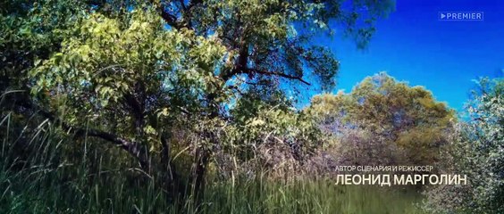 Здравствуйте, вам пора! - 10 серия