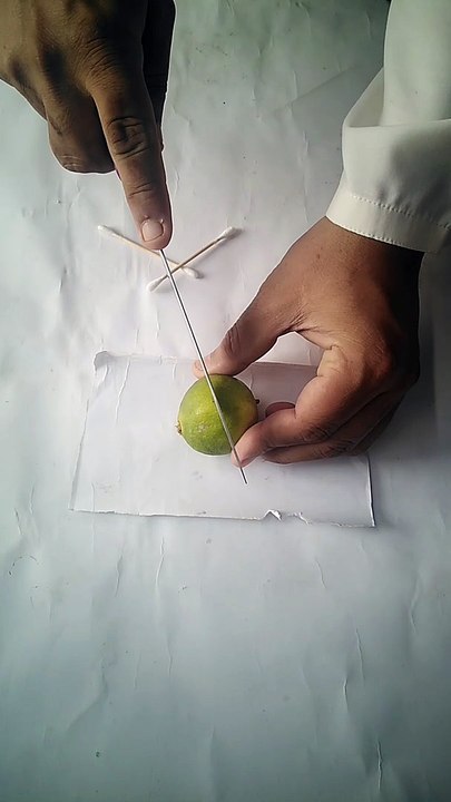 Amazing expriment lemon magic trick.