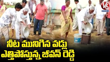 Congress MLC Jeevan Reddy Inspects Damaged Paddy Grains Due To Heavy Rain _ V6 News