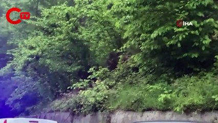 Zonguldak'ta 25 gündür kayıp olan gençten acı haber geldi: Ağaçta asılı olarak bulundu