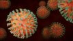 COVID 19: Coronavirus In India కేంద్ర రాష్ట్ర ప్రభుత్వాల హెచ్చరికలు  |  Telugu Oneindia