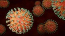 COVID 19: Coronavirus In India కేంద్ర రాష్ట్ర ప్రభుత్వాల హెచ్చరికలు  |  Telugu Oneindia