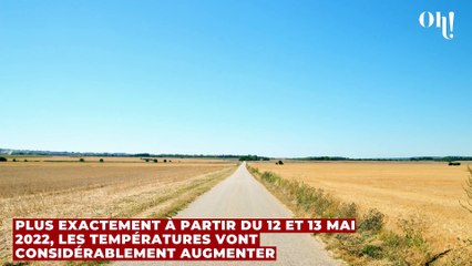 Alerte météo : une puissante vague de chaleur va s'abattre en France dans les prochains jours