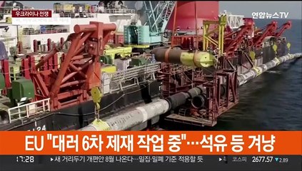 EU, 곧 대러 6차 제재…'에너지 독립' 노력도 병행