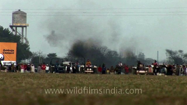Tractor racing sport at Rural Olympics
