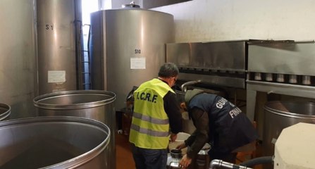 Olio extravergine di oliva: sequestrati oltre 2,3 milioni di litri irregolari (04.05.22)
