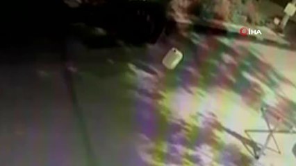 Bursa şehir merkezinde ayı paniği: Burun buruna geldiler