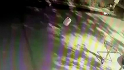 Bursa şehir merkezinde ayı paniği: Burun buruna geldiler