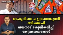 രാഹുലിനെ പൂട്ടാനൊരുങ്ങി ബി.ജെ.പി വയനാട് കേന്ദ്രീകരിച്ച് കേന്ദ്രനേതാക്കള്‍