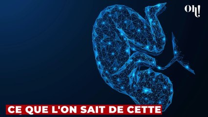 Trois bébés morts retrouvés au fond d'une cave, ce que l'on sait de cette découverte macabre