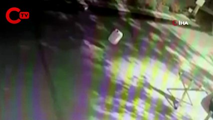 Bursa şehir merkezinde ayı paniği: Burun buruna geldiler