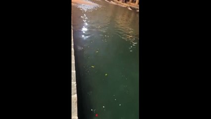 "Belediye hizmeti yok" İşte Balıklıgöl'ün içler acısı hali