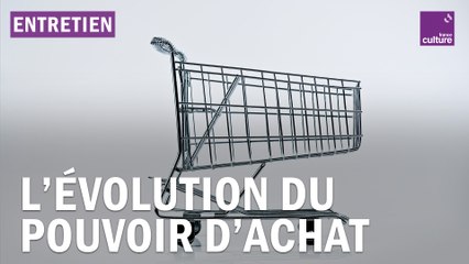 Pouvoir d’achat : réalité économique et enjeu politique