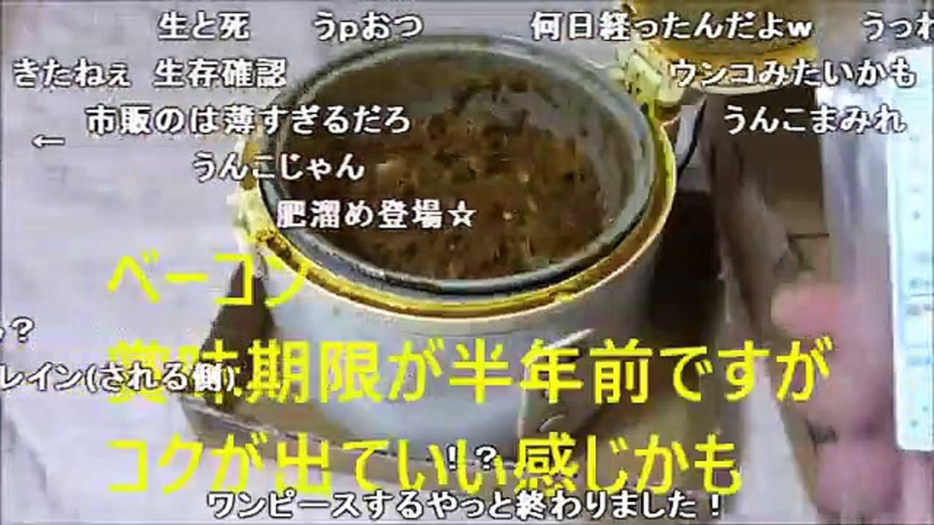 アル中カラカラ スパイスから カレー作ってみたのおまけかも 動画 Dailymotion