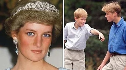 Prince Harry taught to be William's 'right arm' as Diana hated 'heir and spare' dynamic