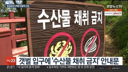 순식간에 차오르는 바닷물…잇따르는 바다·갯벌 고립 사고