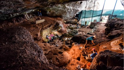 Histoire : en Italie, de nouvelles peintures rupestres d'un oiseau et d'un bovin ont été découvertes dans une grotte