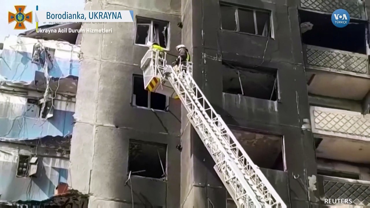 Ukraynalı Görevliler Mahsur Kalmış Kediyi Kurtardı