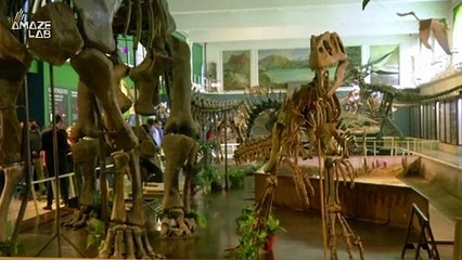 This ‘Shadow of Death’ Megaraptor Stood Almost as Tall as the T-Rex and Was the Apex Predator of Its Time