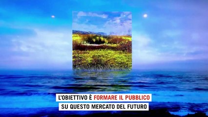 Come è fatto il primo museo d'arte permanente Nft al mondo