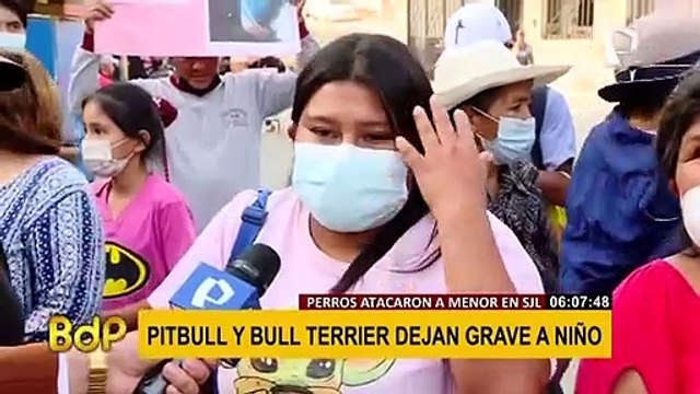 SJL: perros pitbull y Bull Terrier dejan grave a niño, médicos podrían amputarle el dedo