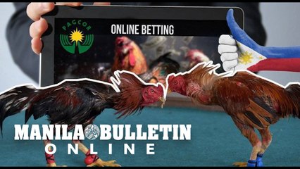 PAGCOR can find new revenue sources after ban on e-sabong — Andanar